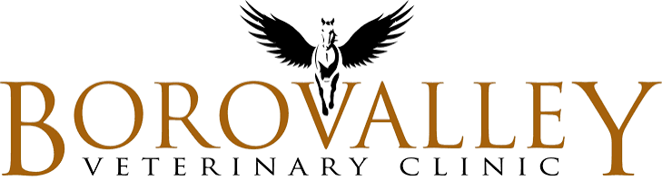 Boravalley Veterinary Clinic